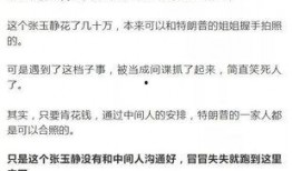 爆料高端骗局揭秘视频,视频揭露惊天内幕